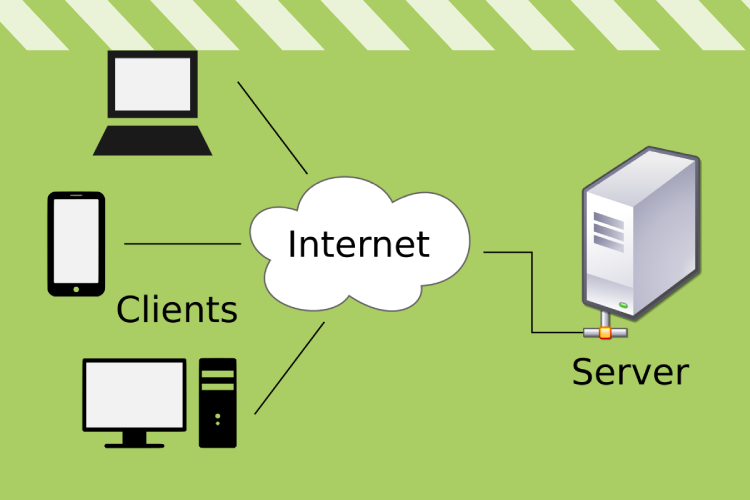 Why Are Network Protocols Important Blink Protocol